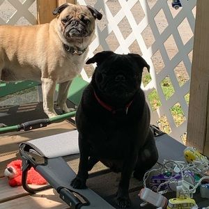 Meet your Posher, Kim